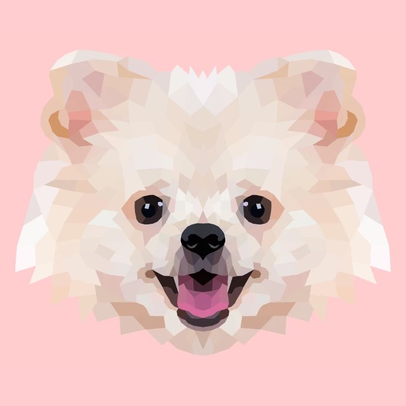 Spitz nain Polyart