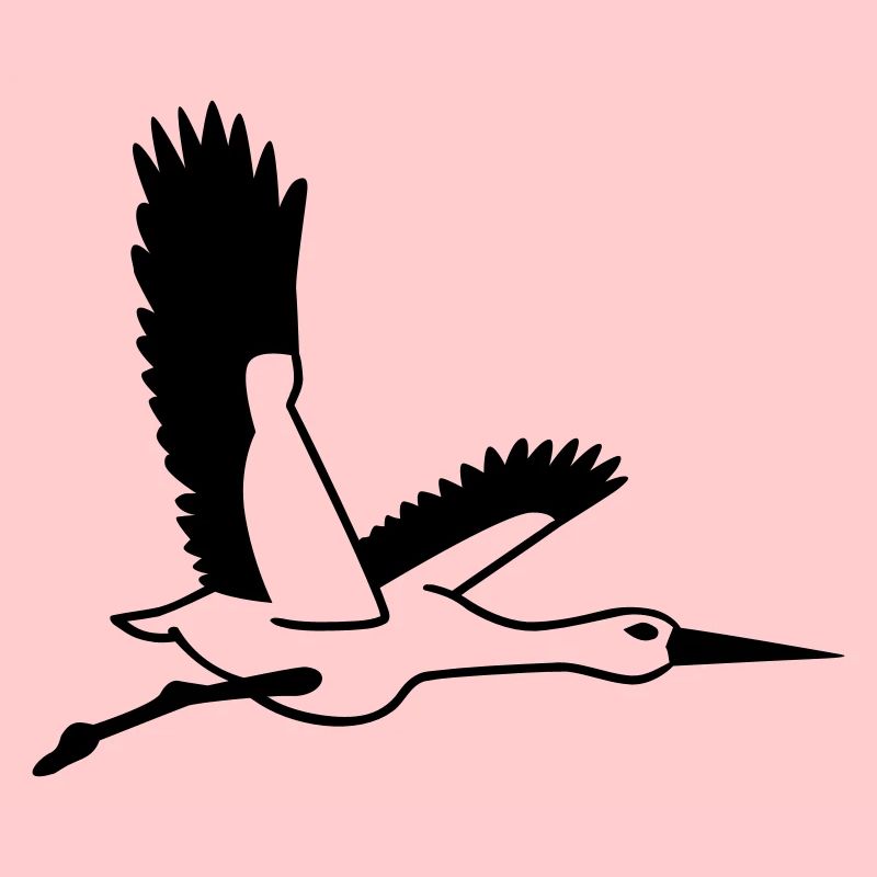 Storch