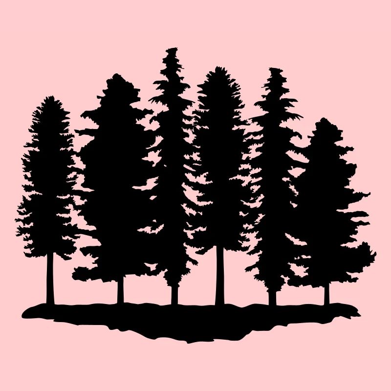Wald, Bäume, Baum