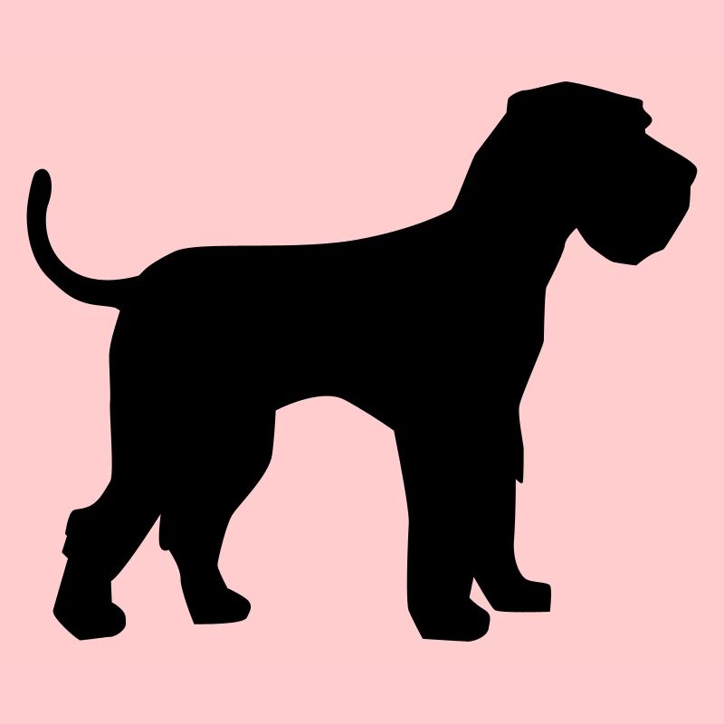Schnauzer géant