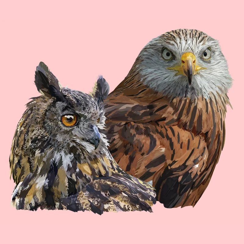 Oiseau de proie