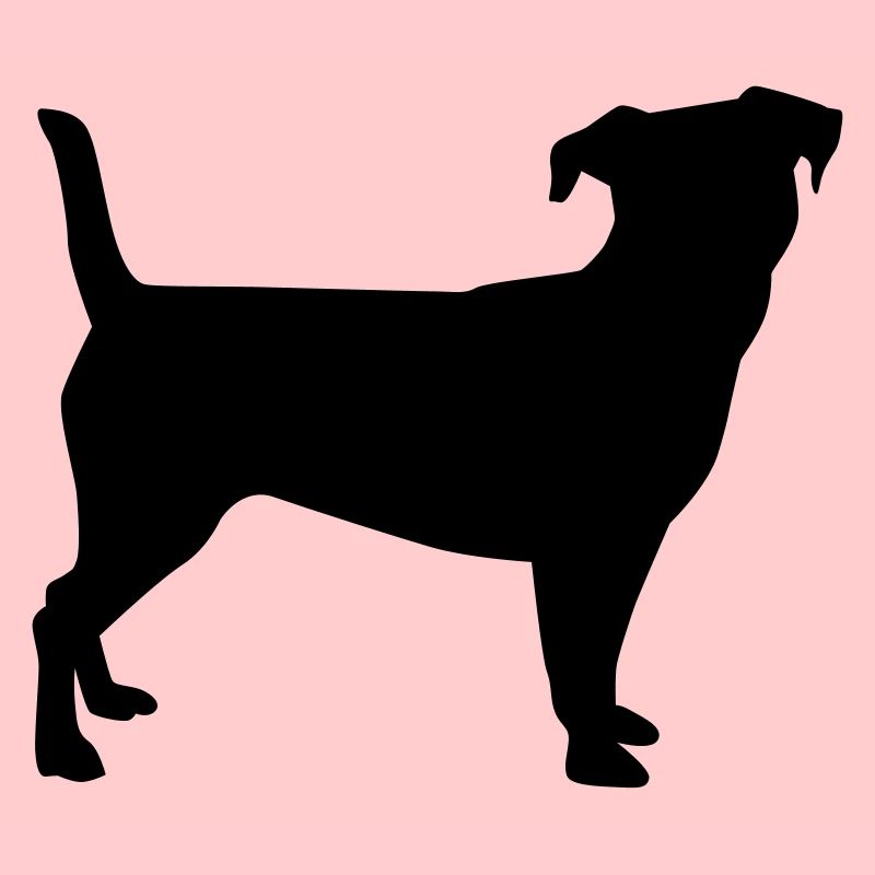 Jack Russell