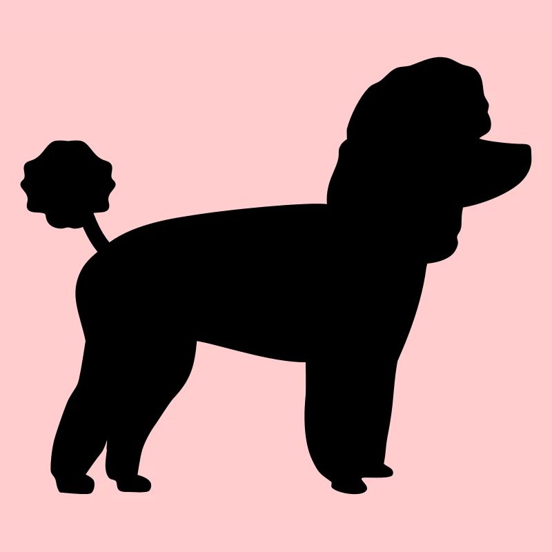 Toy Poodle