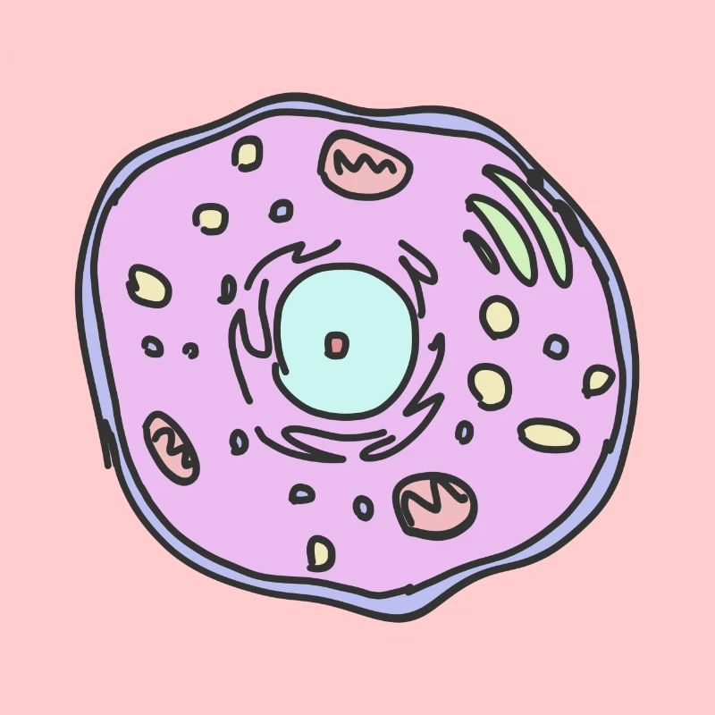 cellule animale