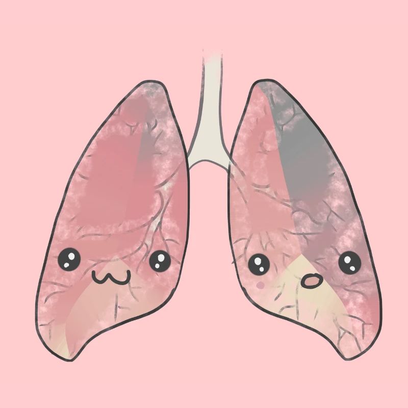Poumon organe