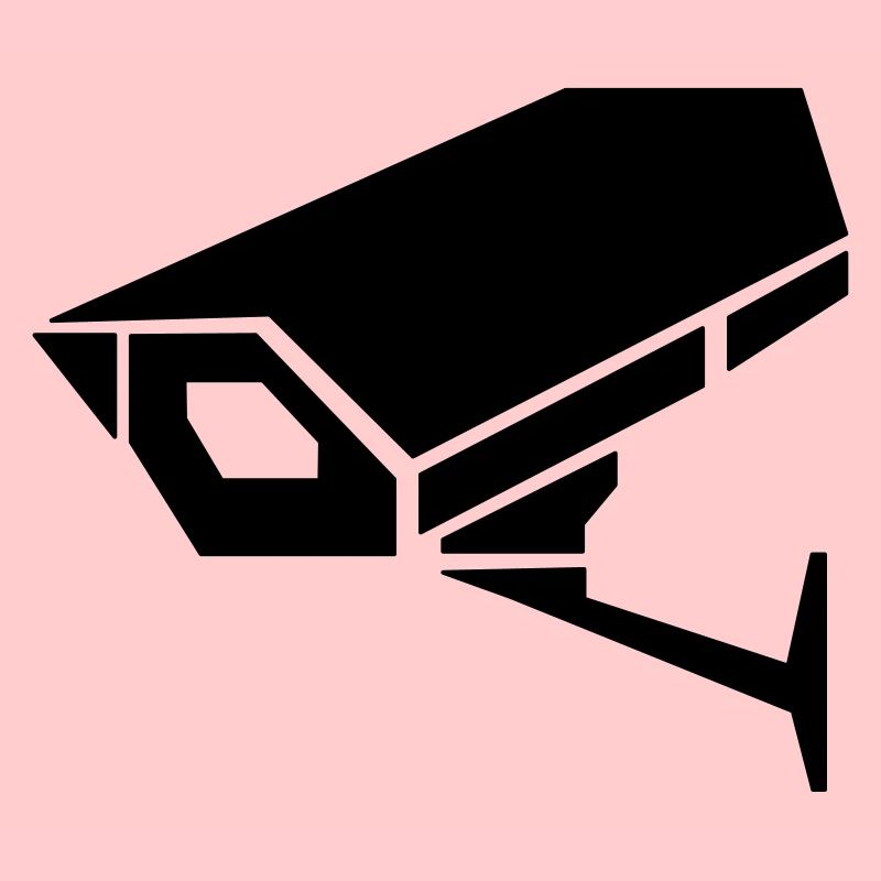 surveillance camera