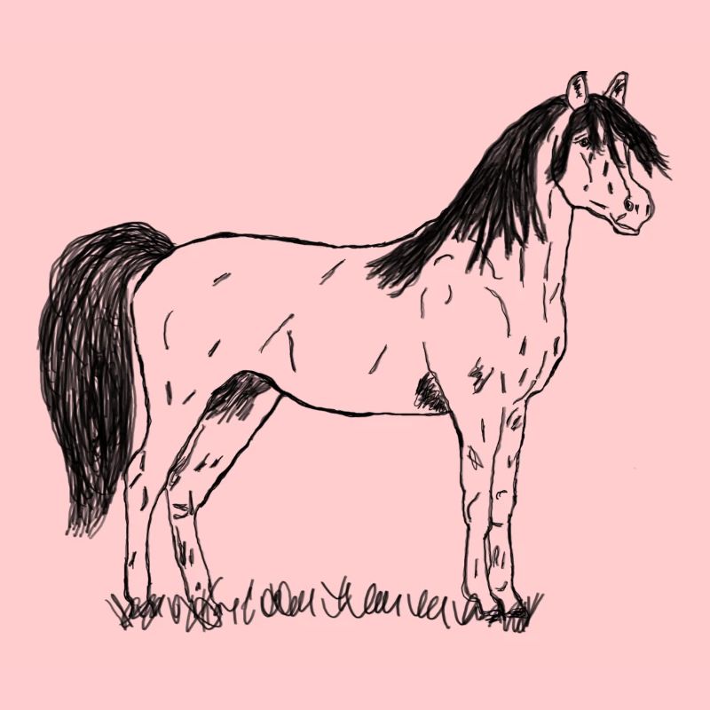 Cheval
