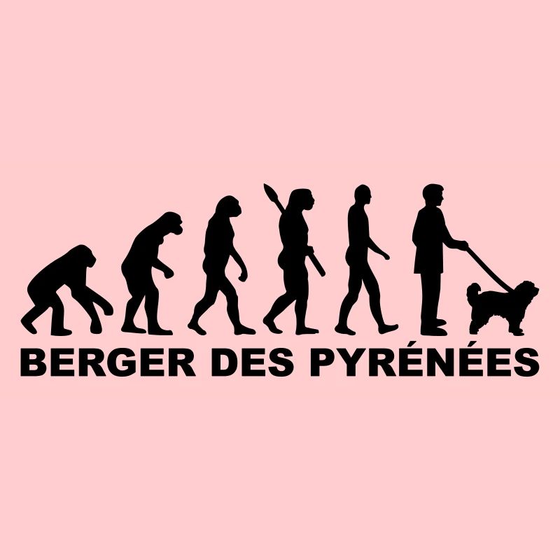 Berger des Pyrénées
