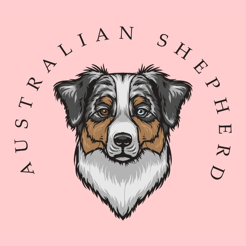 Australian Shepherd