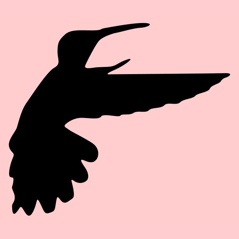 kolibri vogel