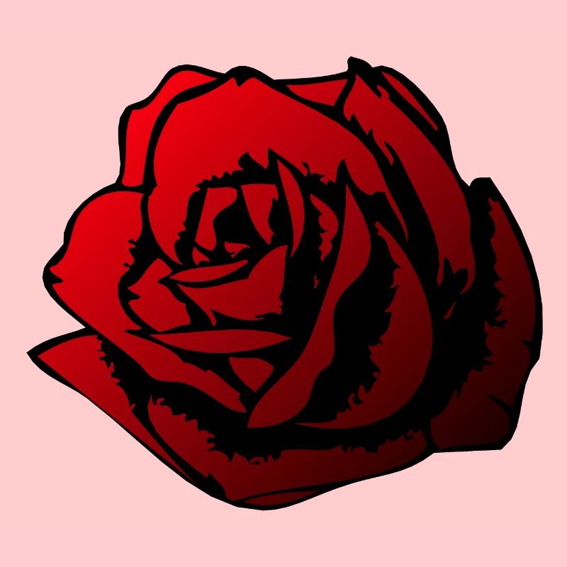 rose fleur