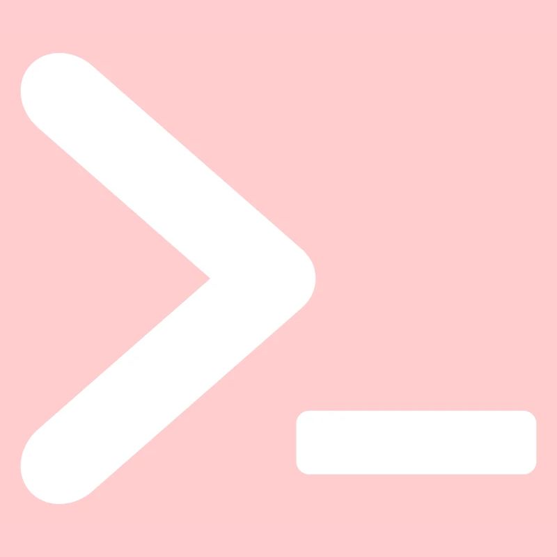 >_ OS program prompt