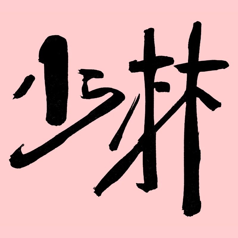 Shaolin (Chinois) - KUNGFU