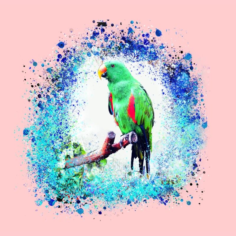 sittich ara,,bird,graffiti,mint,blue,brush,spray