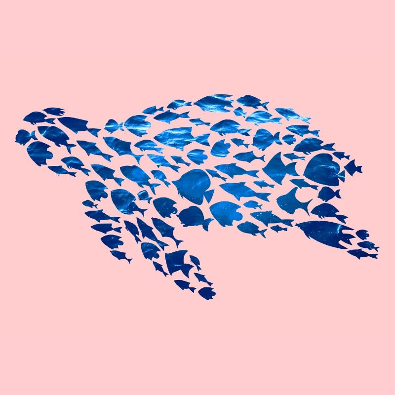 Tortue Poisson Créatures marines