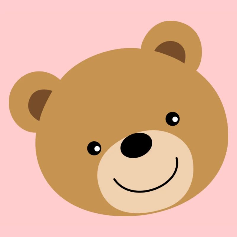 Teddy Bear Bear
