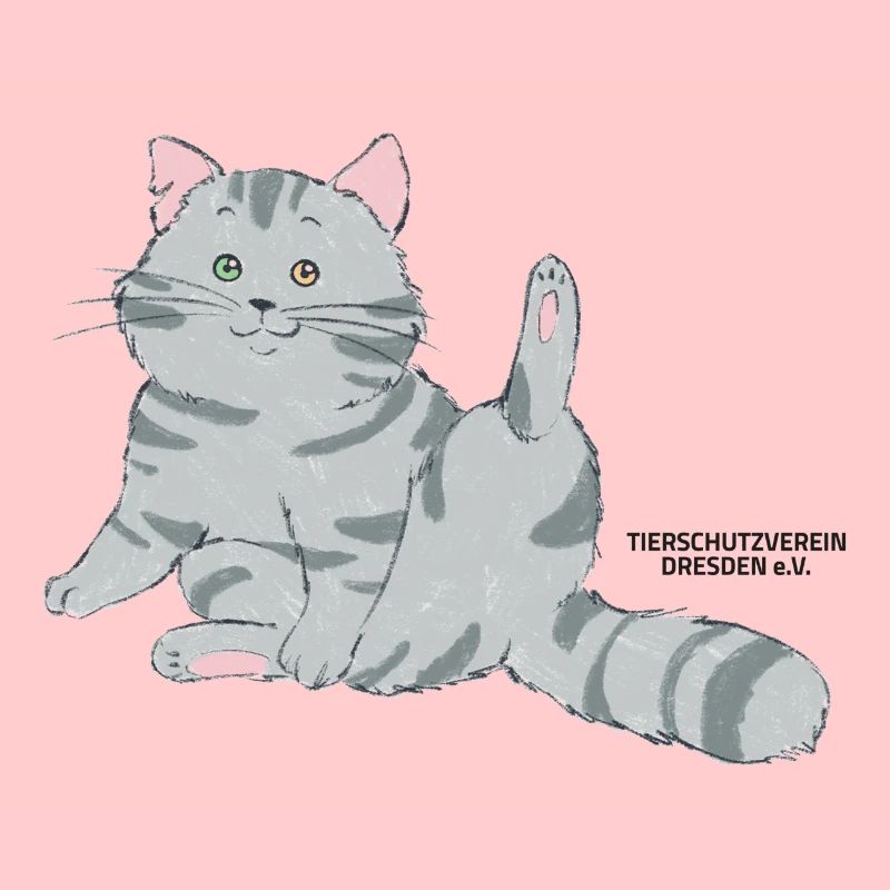 🐾 Grau getigerte Katze🐱