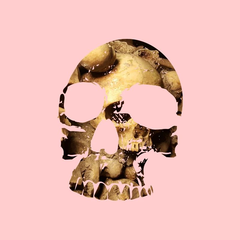 Skull Skulls 2