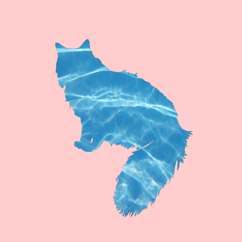 Eau de chat