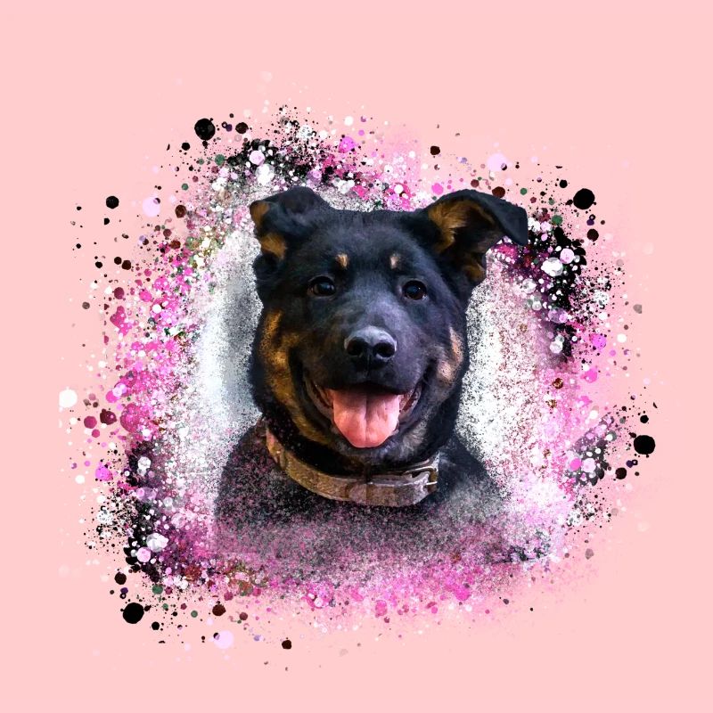 koira,paimen,pentu,rottweiler