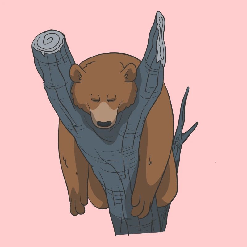 L’ours dormant idée de cadeau