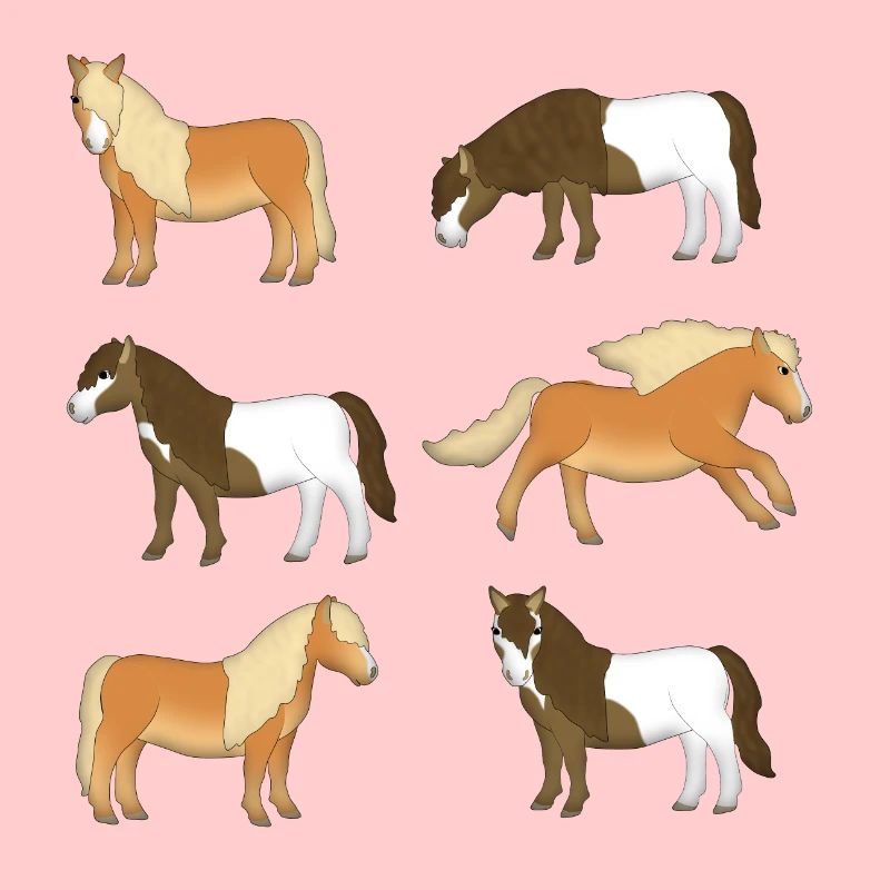 Shetland Pony Selection
