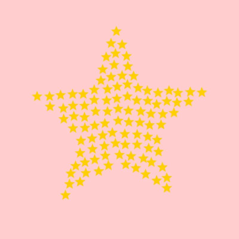 Weihnachtsstern Geschenkidee