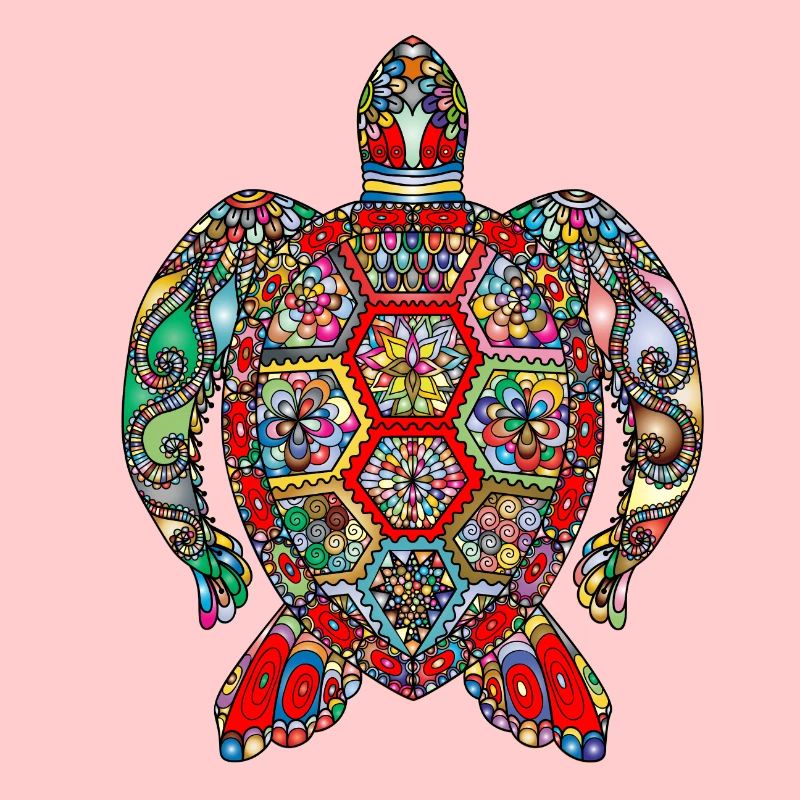 Schildkröte