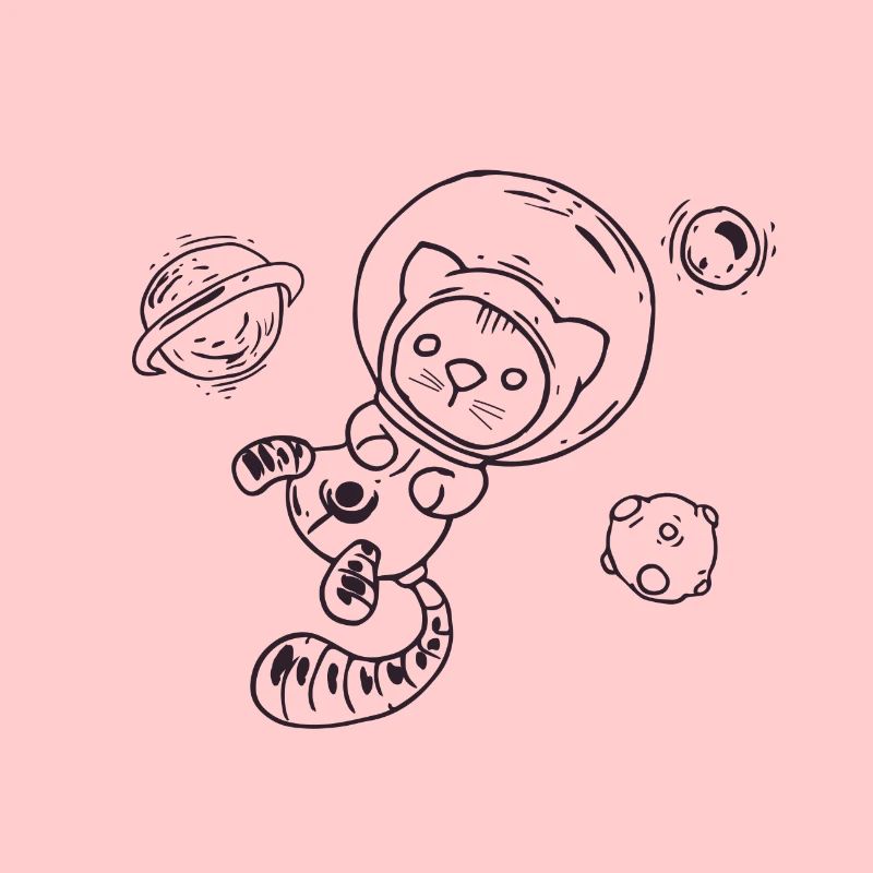 Chat dans l'espace