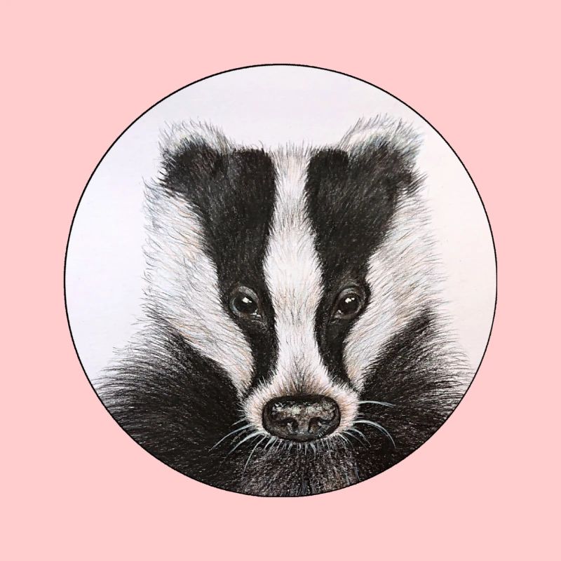 Badger /Badger