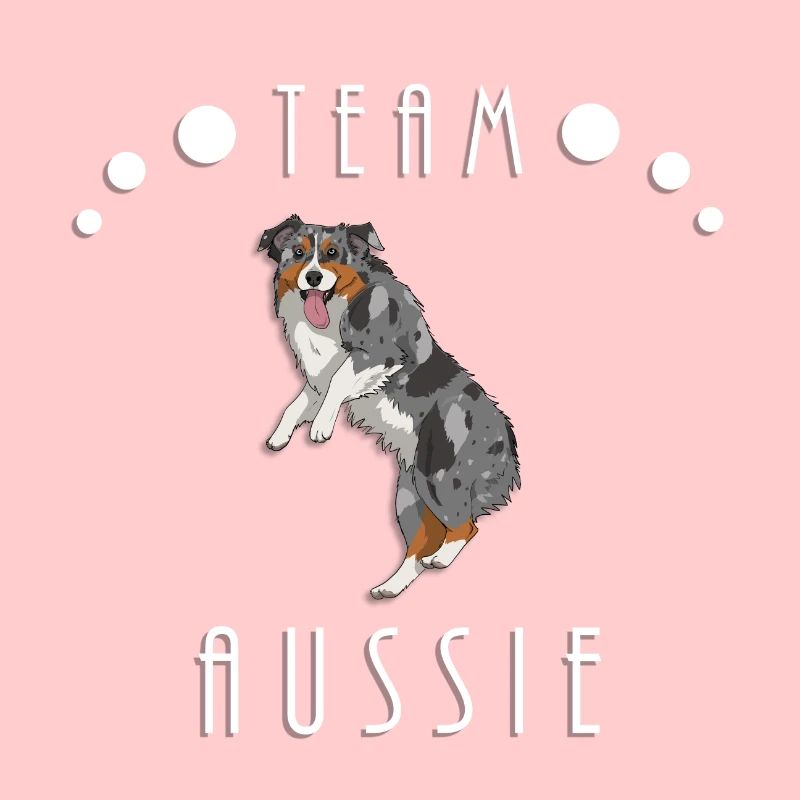 Team Aussie - Blue Merle (bobtail)