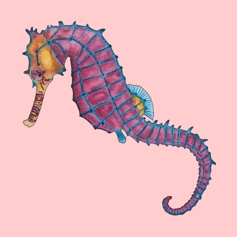 Seepferdchen Seepferd