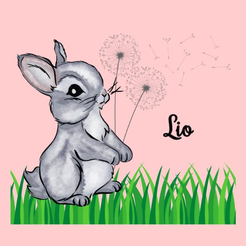 Nom de lapin Cadeau Lio
