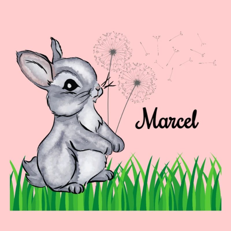 Rabbit Name Gift Marcel