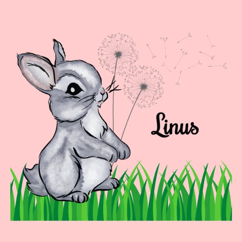 Nom de lapin Cadeau Linus