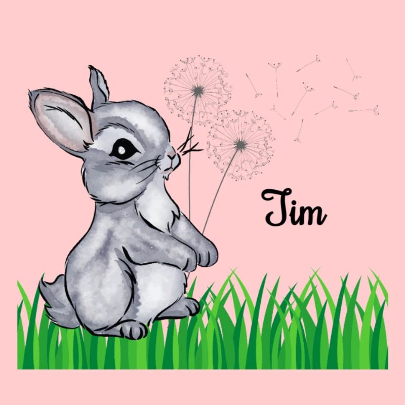 Rabbit Name Gift Tim