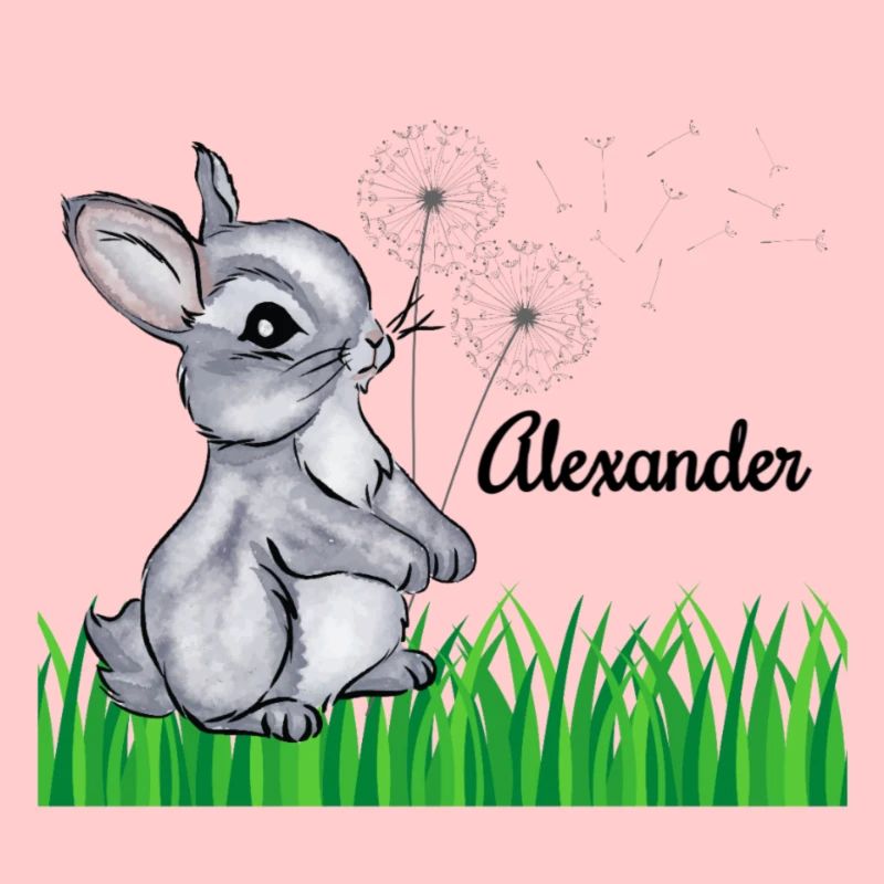 Hase Name Geschenk Alexander