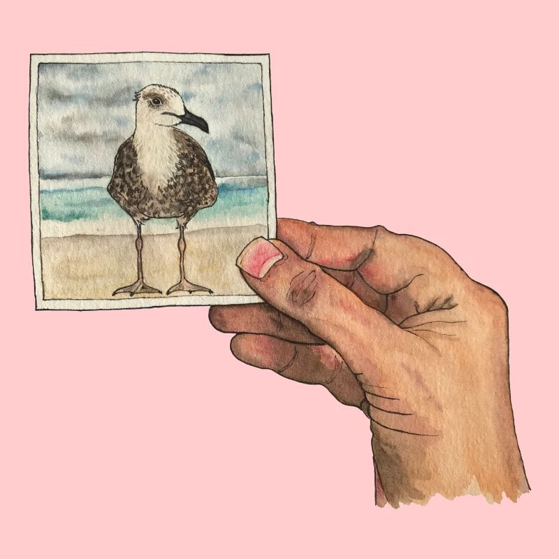 Main avec photo d'une mouette