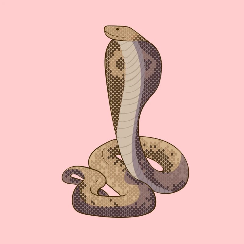 Cobra Schlange