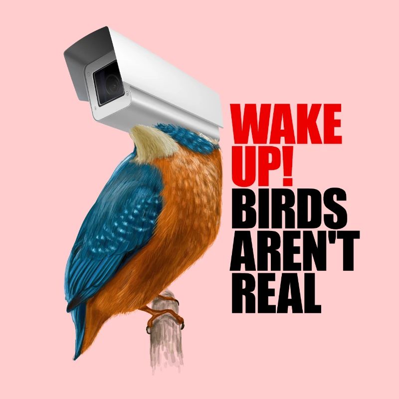 birds aren't real