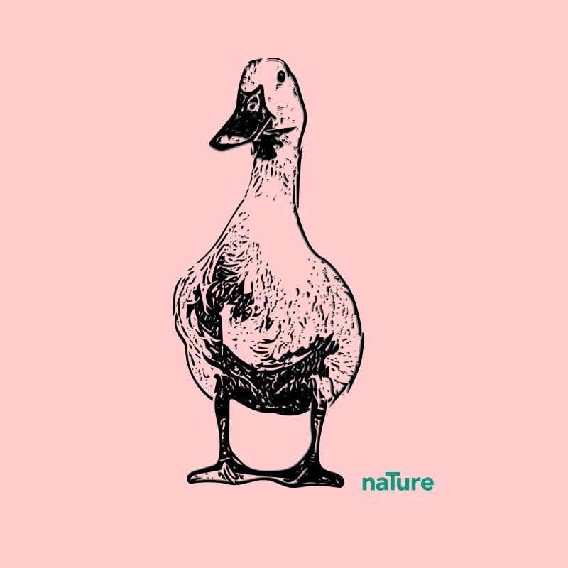 canard