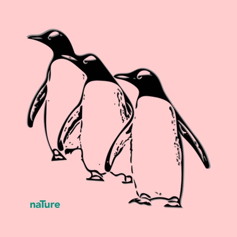 Pinguin
