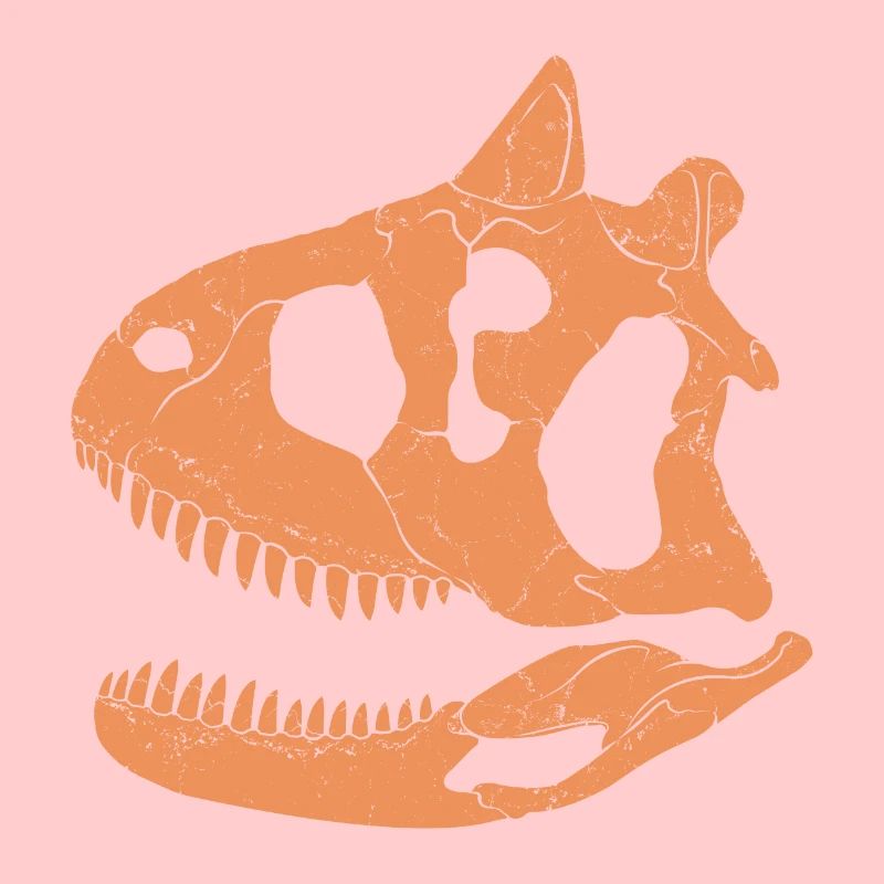 Carnotaurus Fossil Schädel