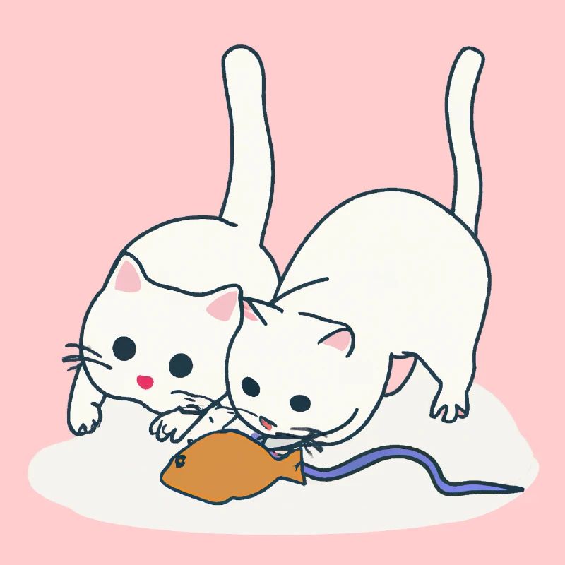 Two playing cats