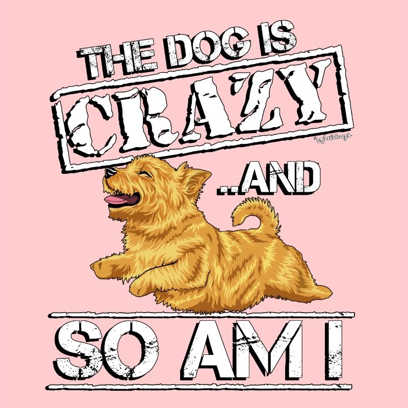 Norwich Terrier Crazy 2