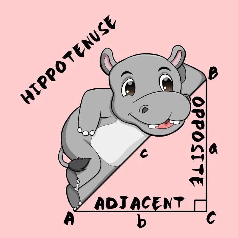 Hippotenuse Cool Fun Shirt Pythagore Math Lovers