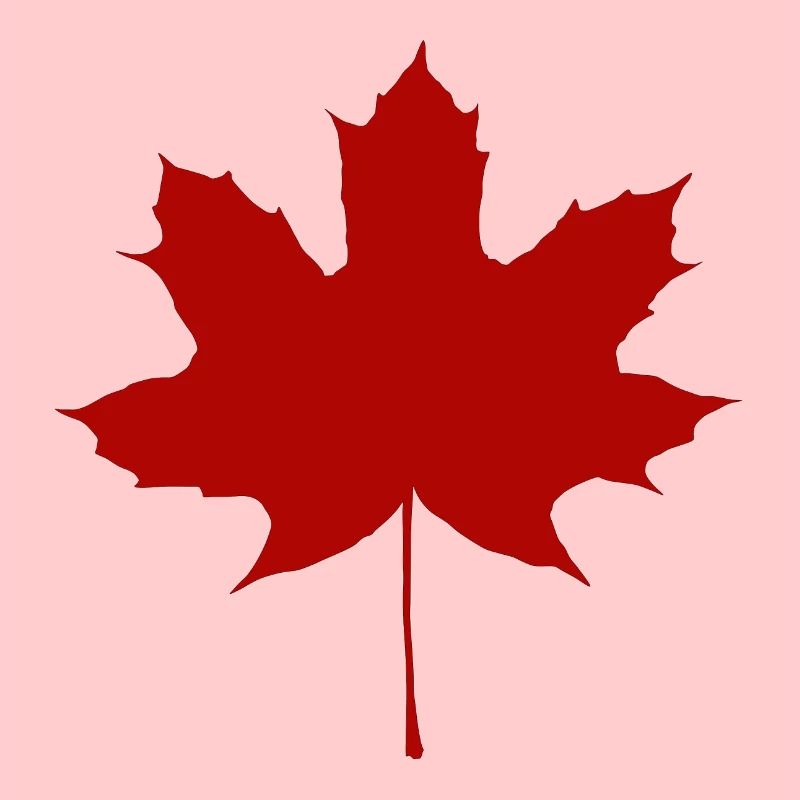 feuille d'érable