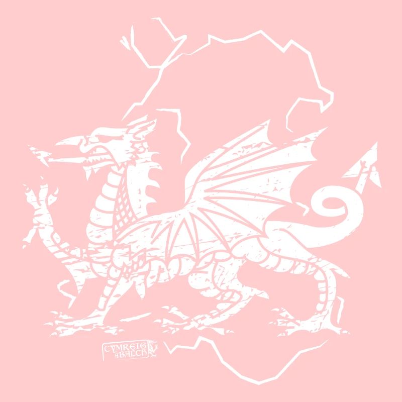 Rustikaler walisischer Drache