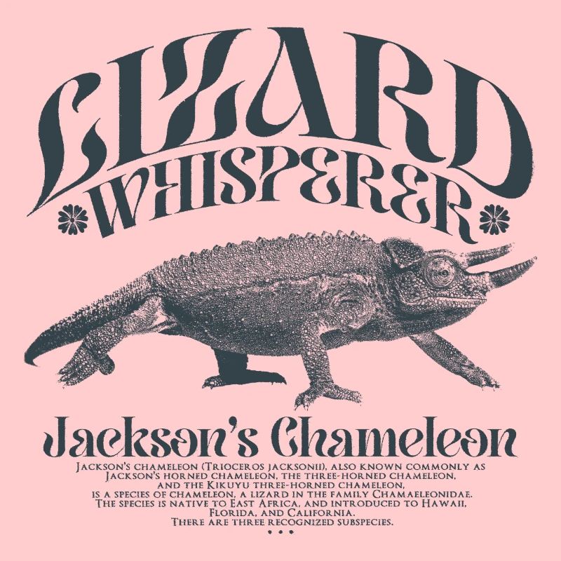 Jackson's Chamäleon Echsenflüsterer