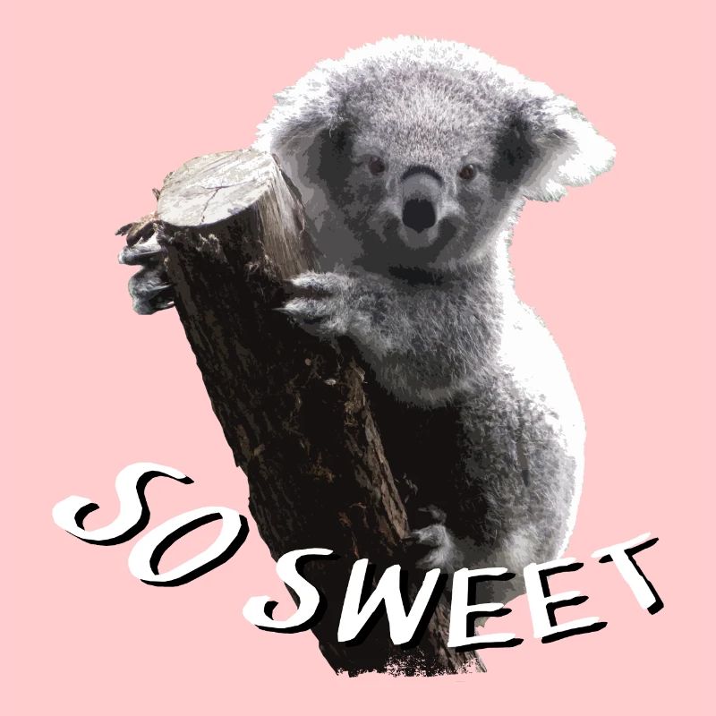 Ours Koala - Koala - Ours Koala